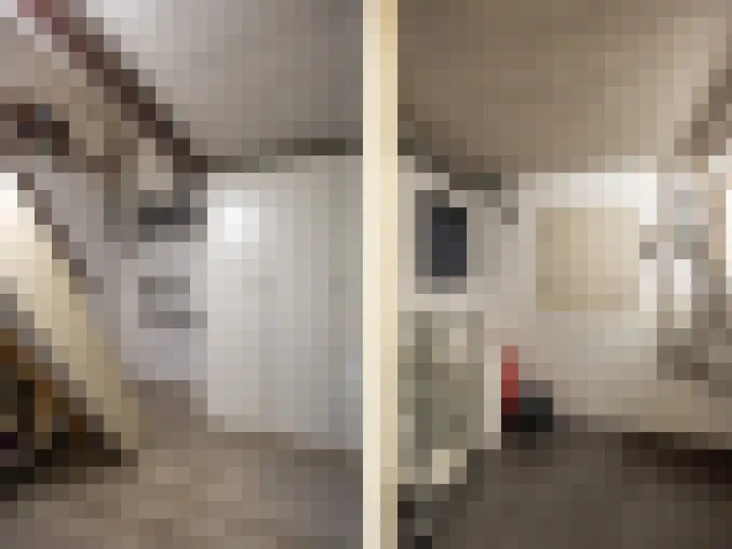 't Haagje 8 Eerbeek thumbnail 48