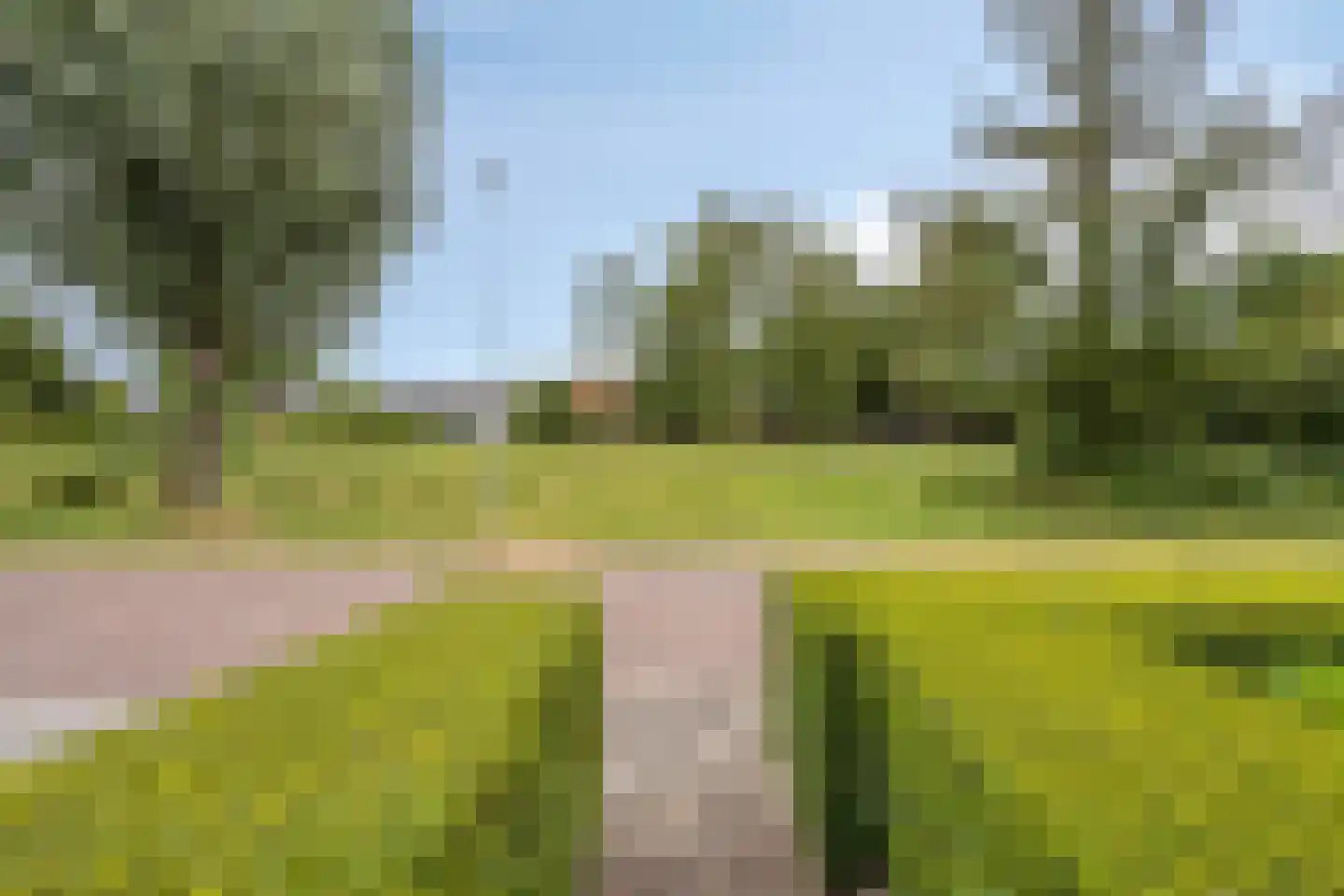 't Haagje 8 Eerbeek thumbnail 48