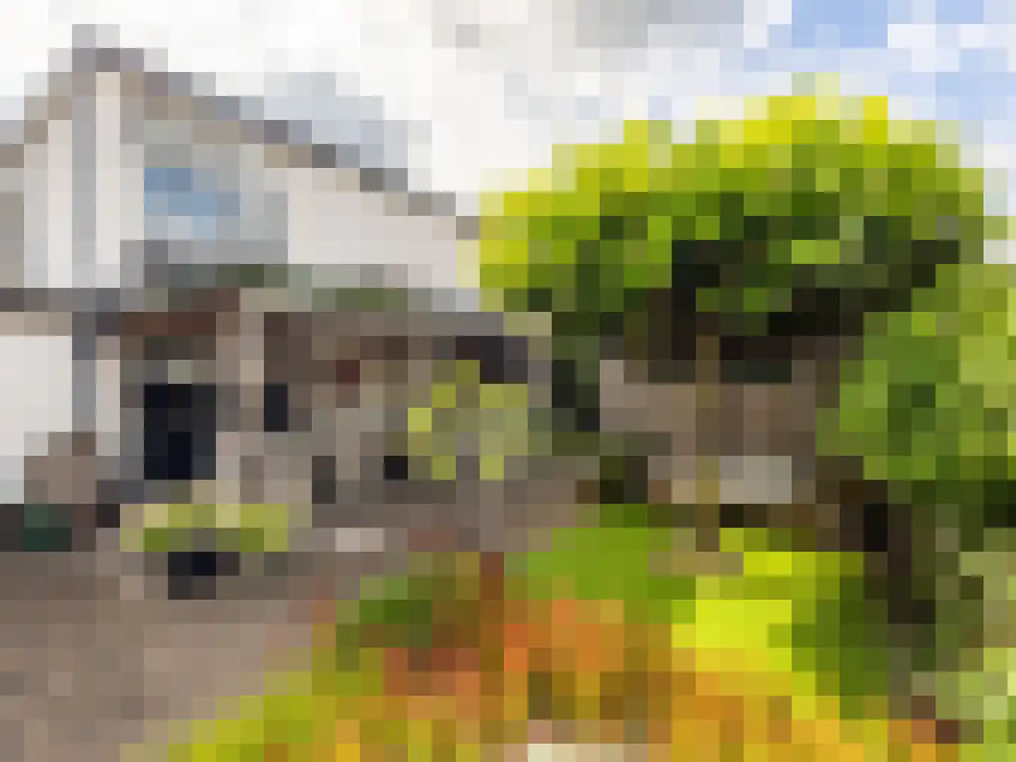 't Haagje 8 Eerbeek thumbnail 49