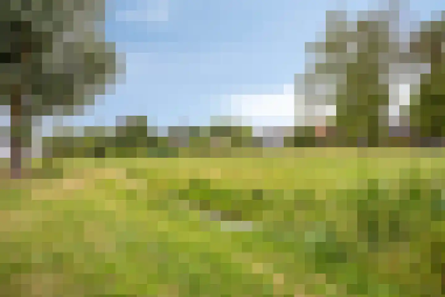 't Haagje 8 Eerbeek thumbnail 49