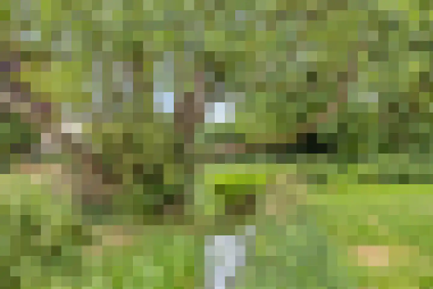 't Haagje 8 Eerbeek thumbnail 50