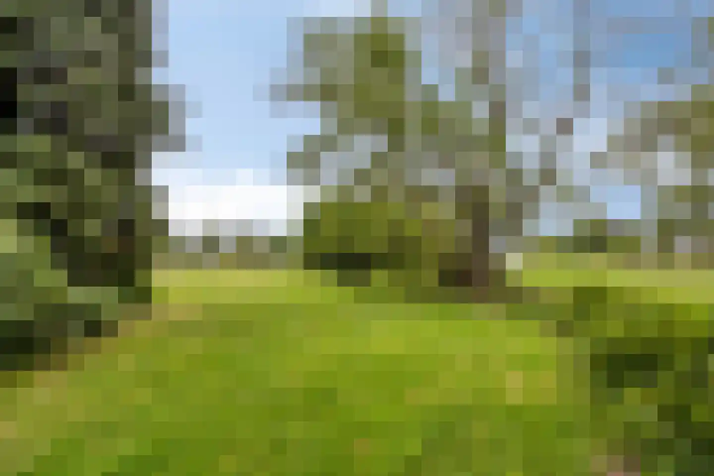 't Haagje 8 Eerbeek thumbnail 51