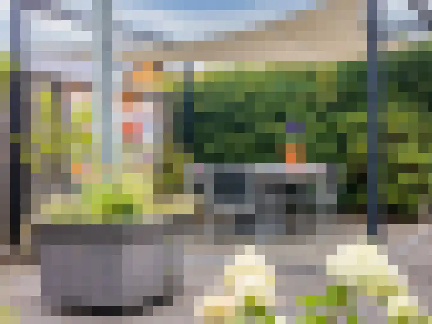 't Haagje 8 Eerbeek thumbnail 51