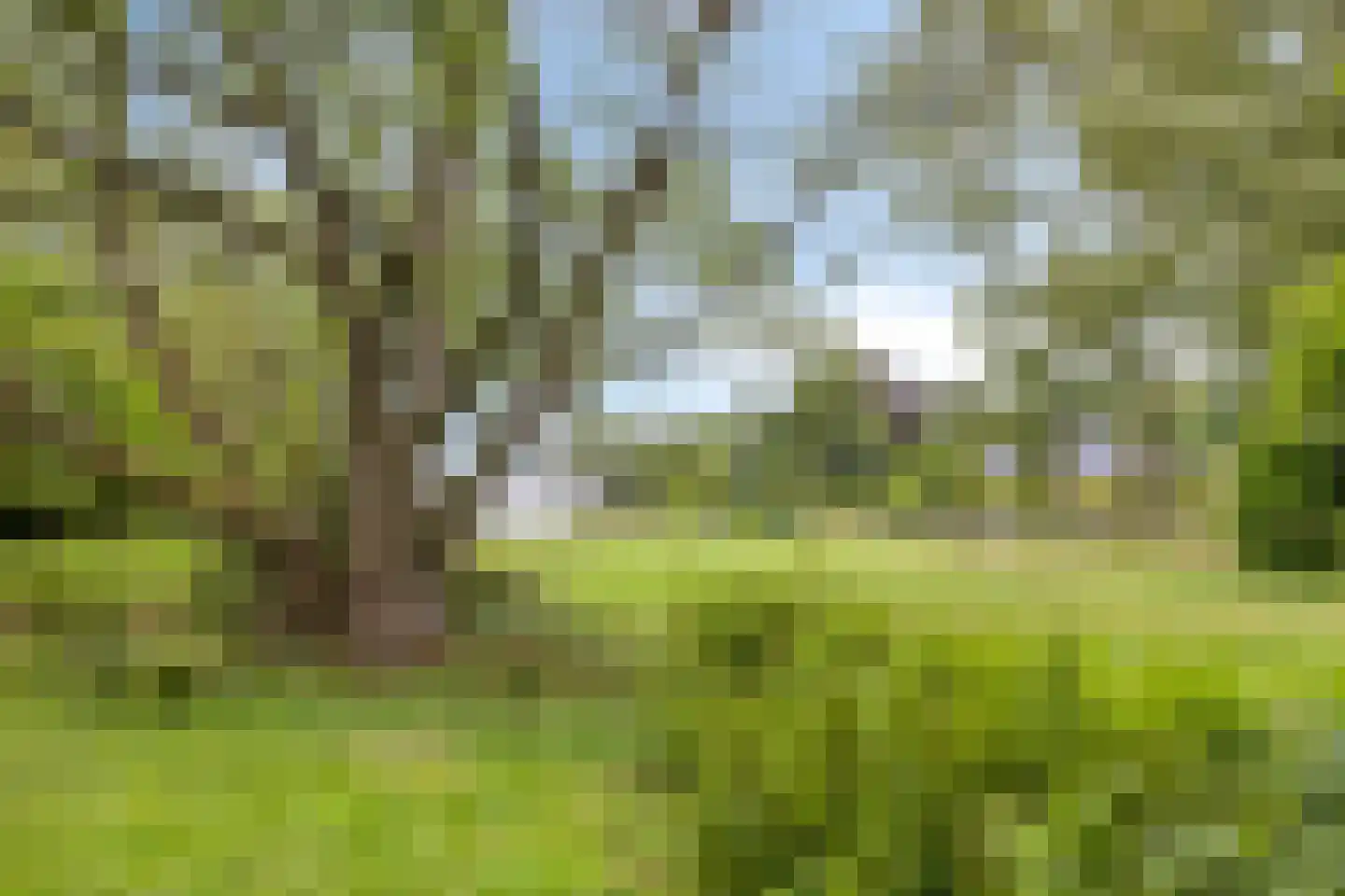 't Haagje 8 Eerbeek thumbnail 52