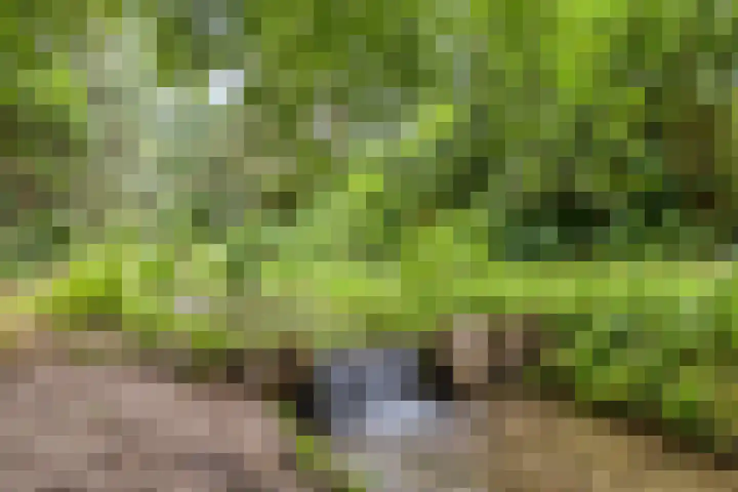 't Haagje 8 Eerbeek thumbnail 53