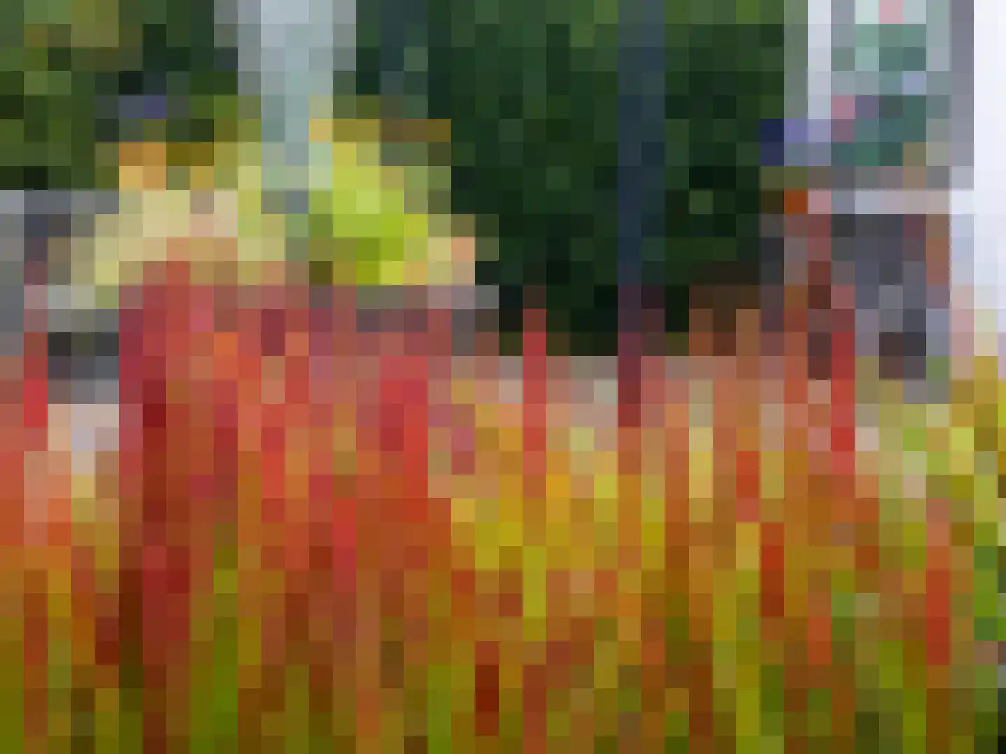 't Haagje 8 Eerbeek thumbnail 54