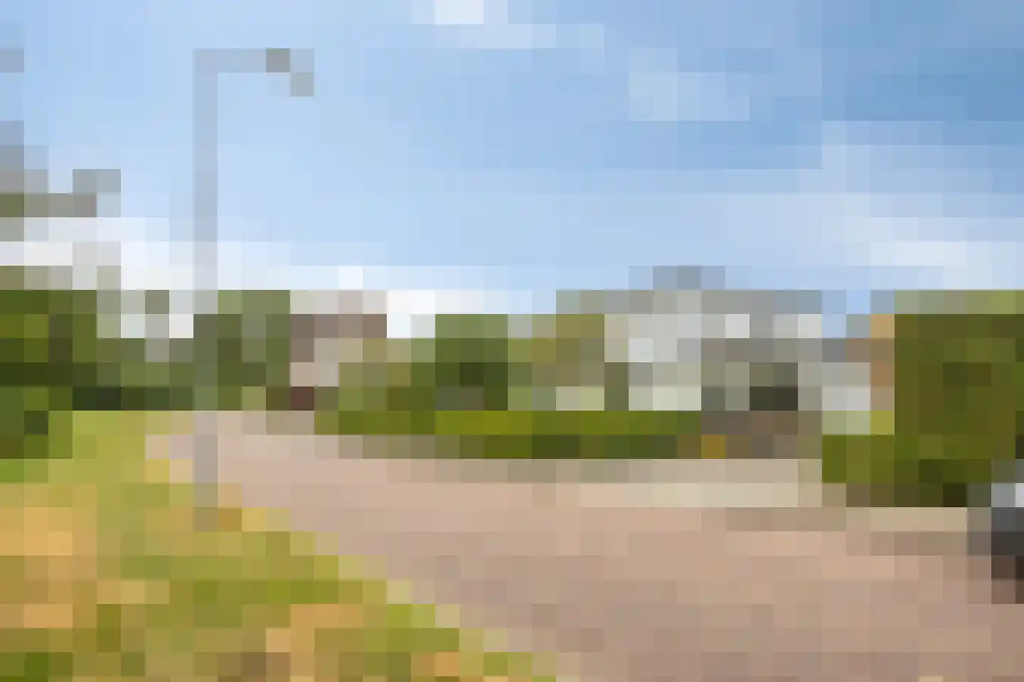 't Haagje 8 Eerbeek thumbnail 55