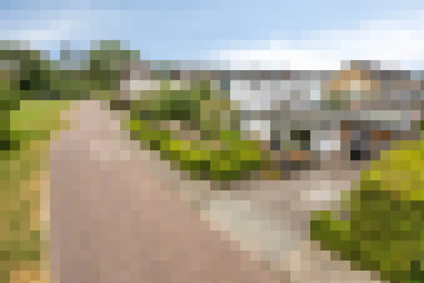't Haagje 8 Eerbeek thumbnail 56