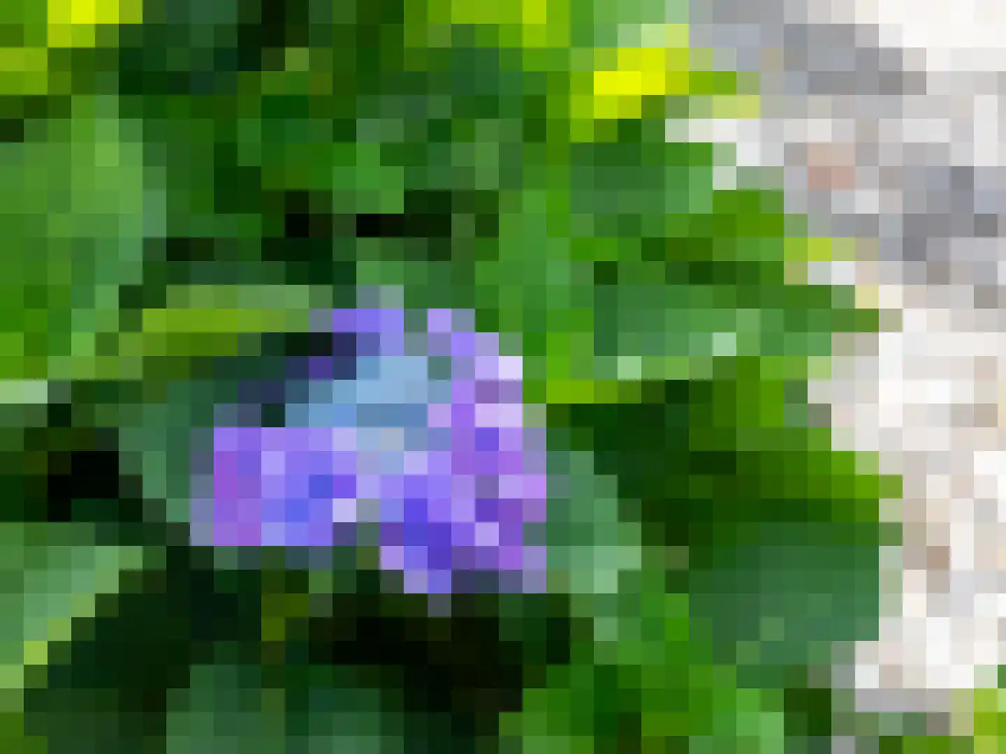 't Haagje 8 Eerbeek thumbnail 57