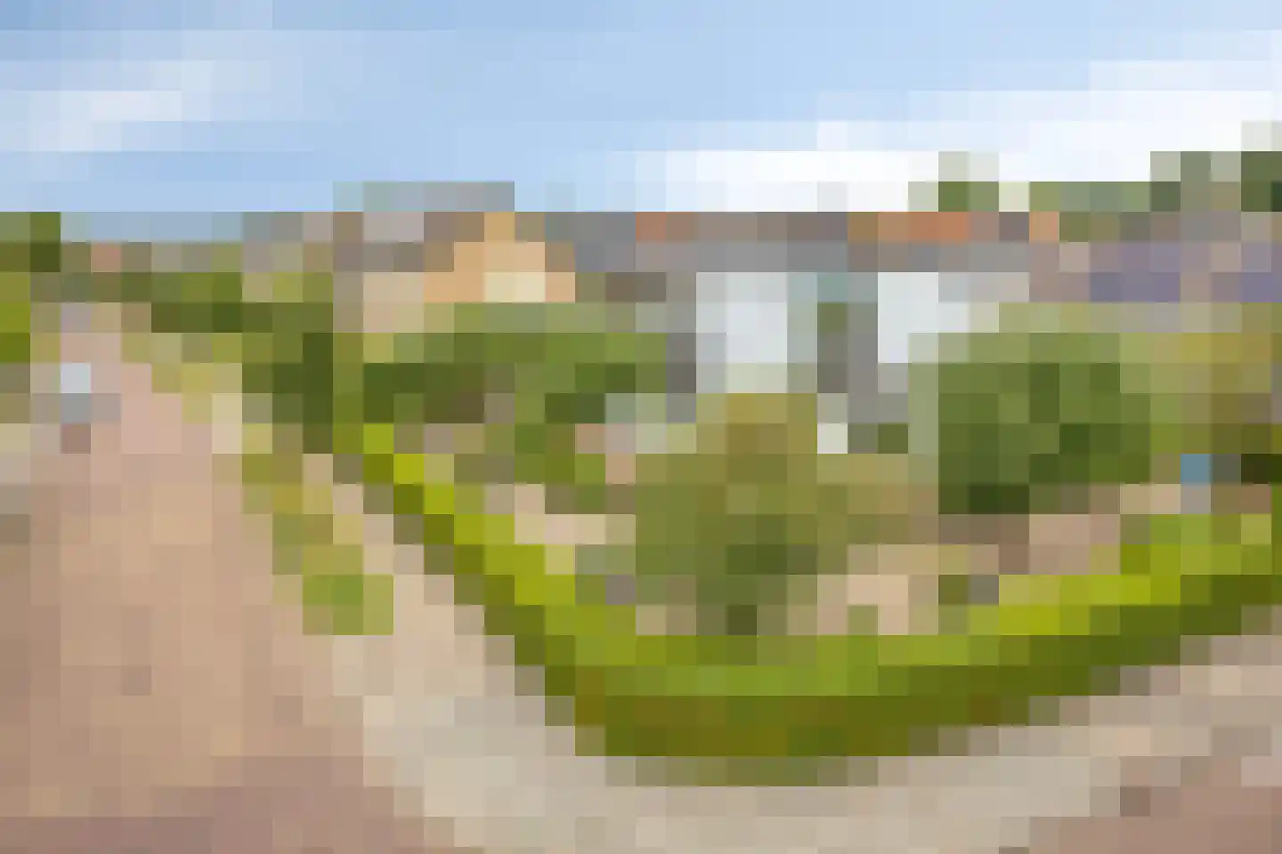 't Haagje 8 Eerbeek thumbnail 59