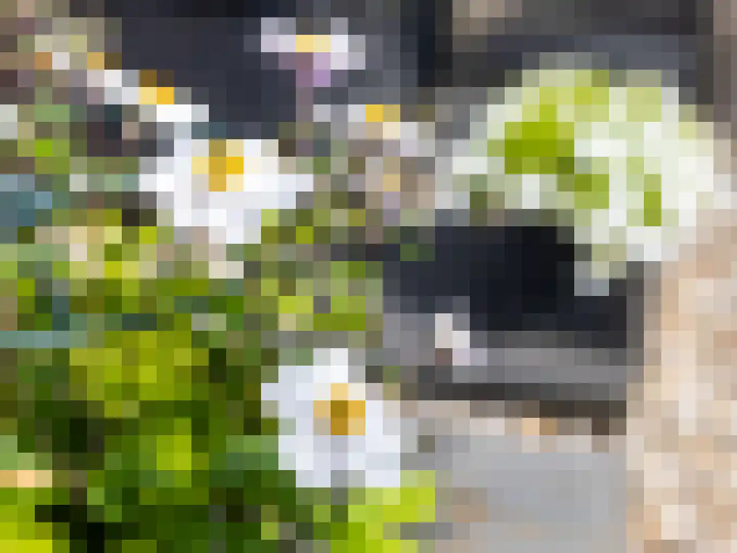't Haagje 8 Eerbeek thumbnail 60
