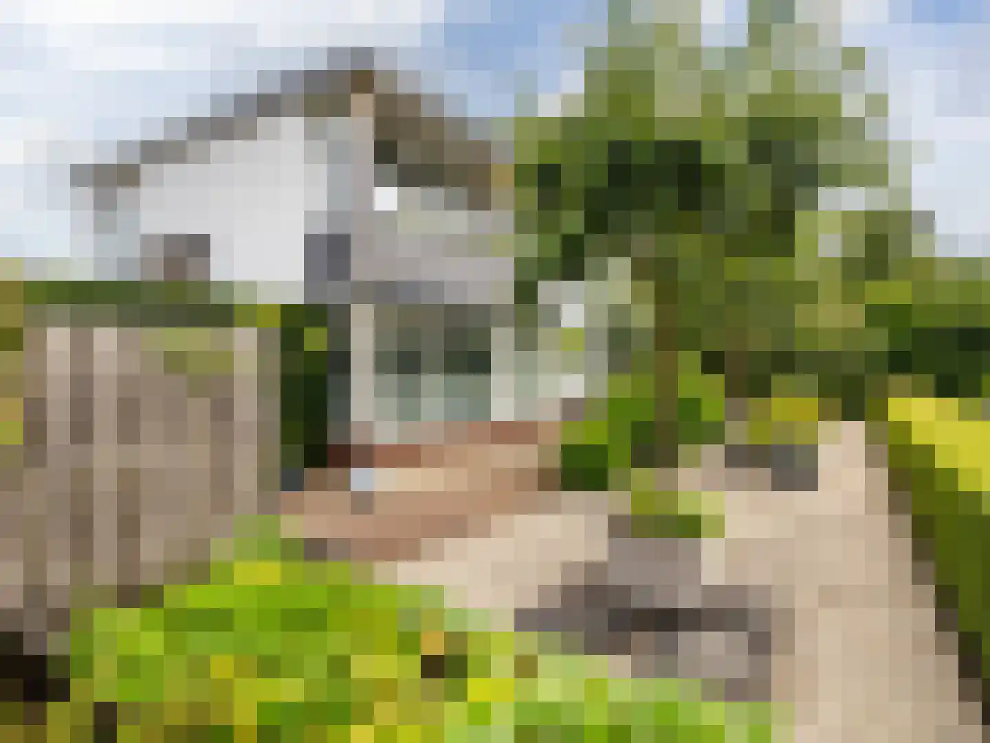't Haagje 8 Eerbeek thumbnail 62