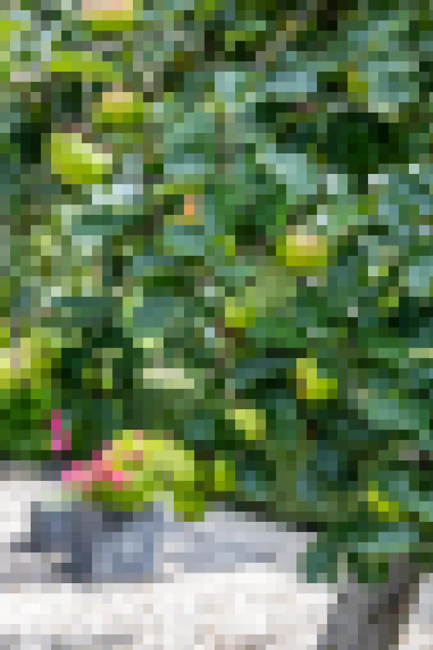 't Haagje 8 Eerbeek thumbnail 63