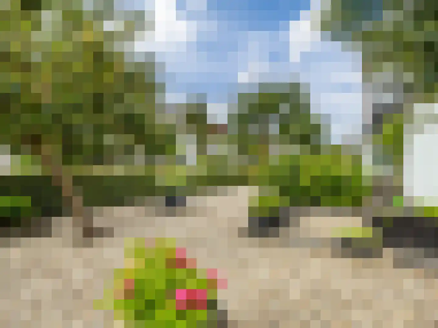 't Haagje 8 Eerbeek thumbnail 64