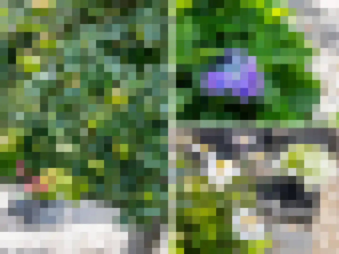 't Haagje 8 Eerbeek thumbnail 66