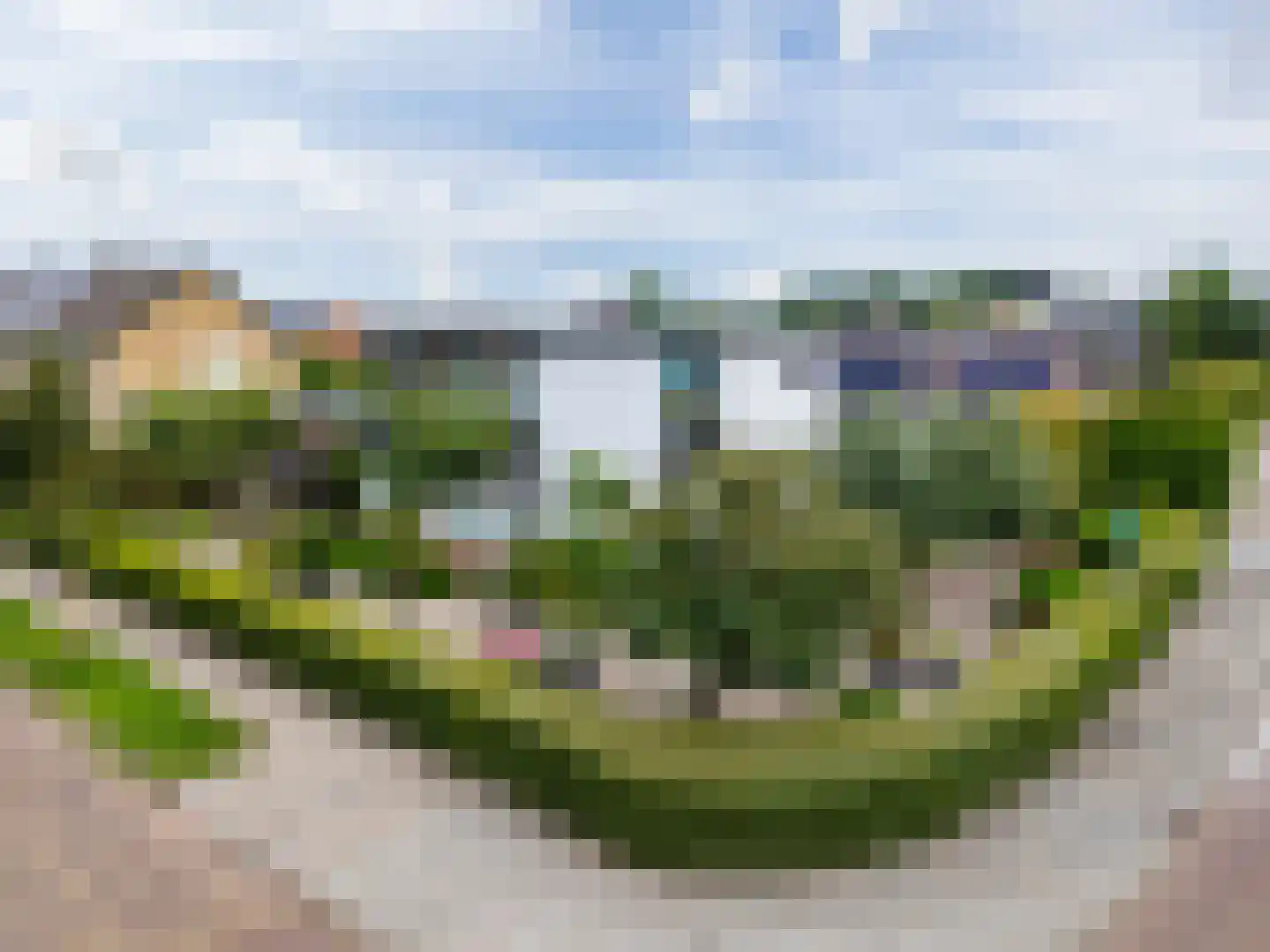 't Haagje 8 Eerbeek thumbnail 67