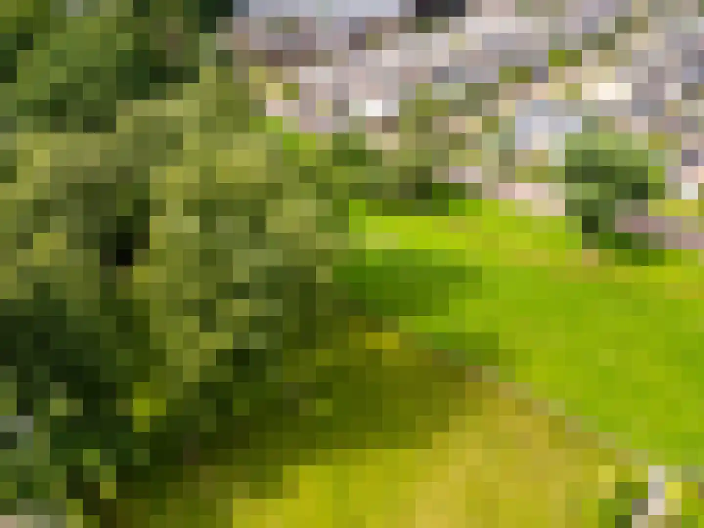 't Haagje 8 Eerbeek thumbnail 69