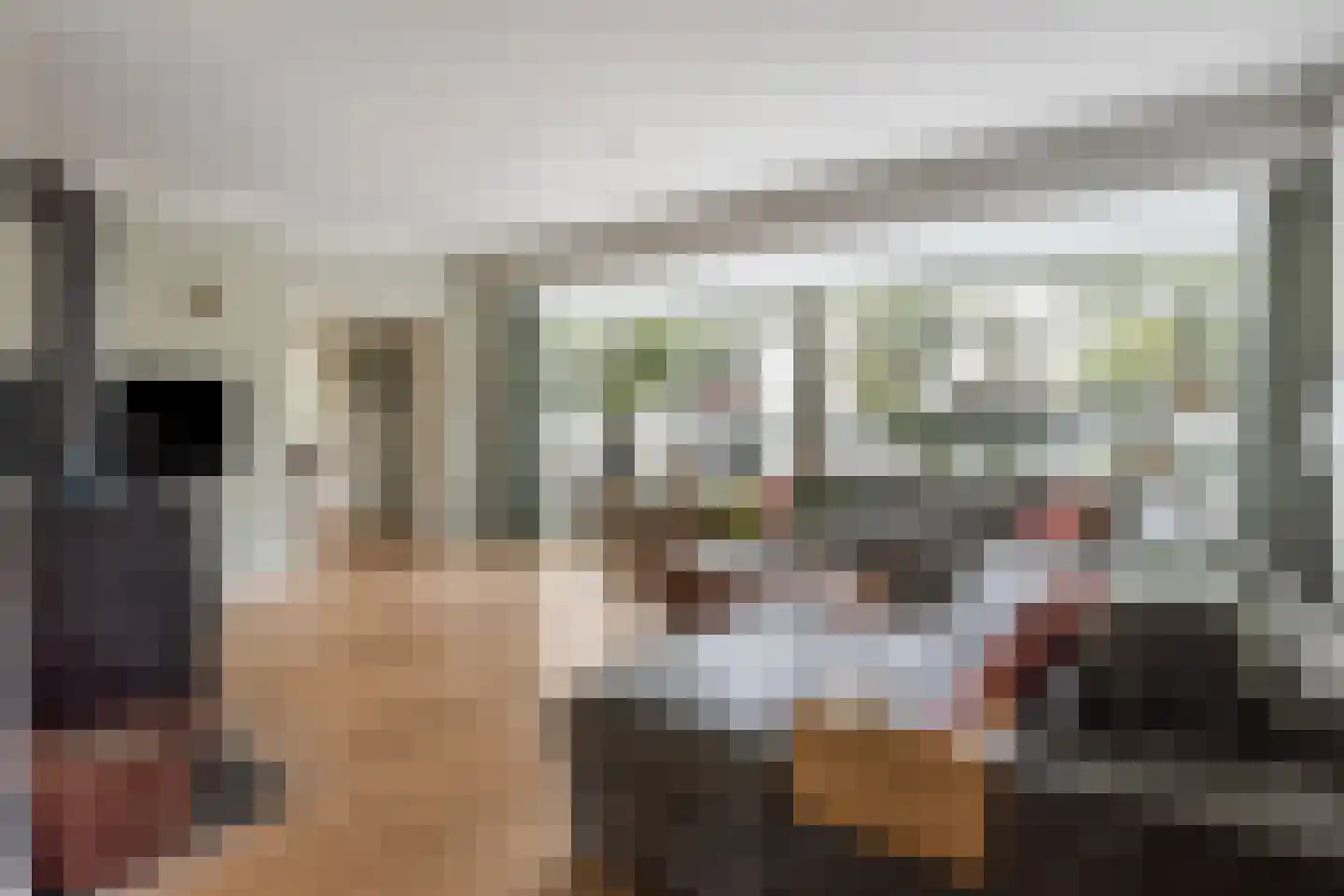 't Haagje 8 Eerbeek thumbnail 7