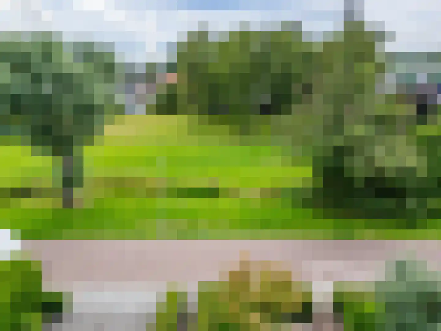 't Haagje 8 Eerbeek thumbnail 71