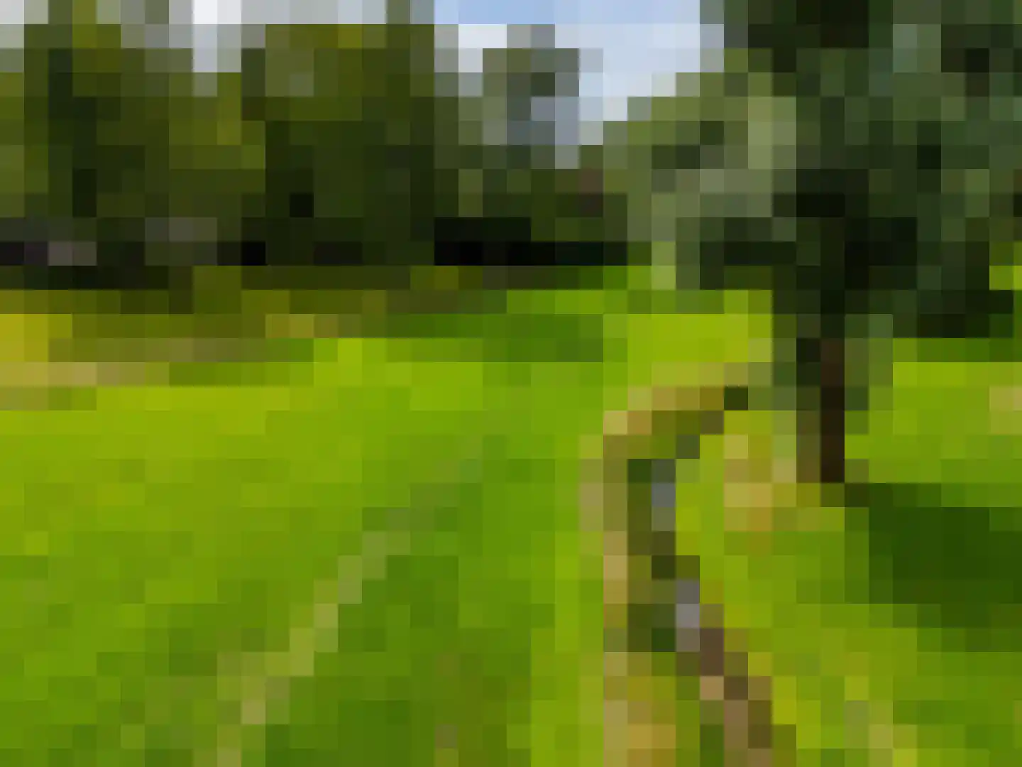 't Haagje 8 Eerbeek thumbnail 72