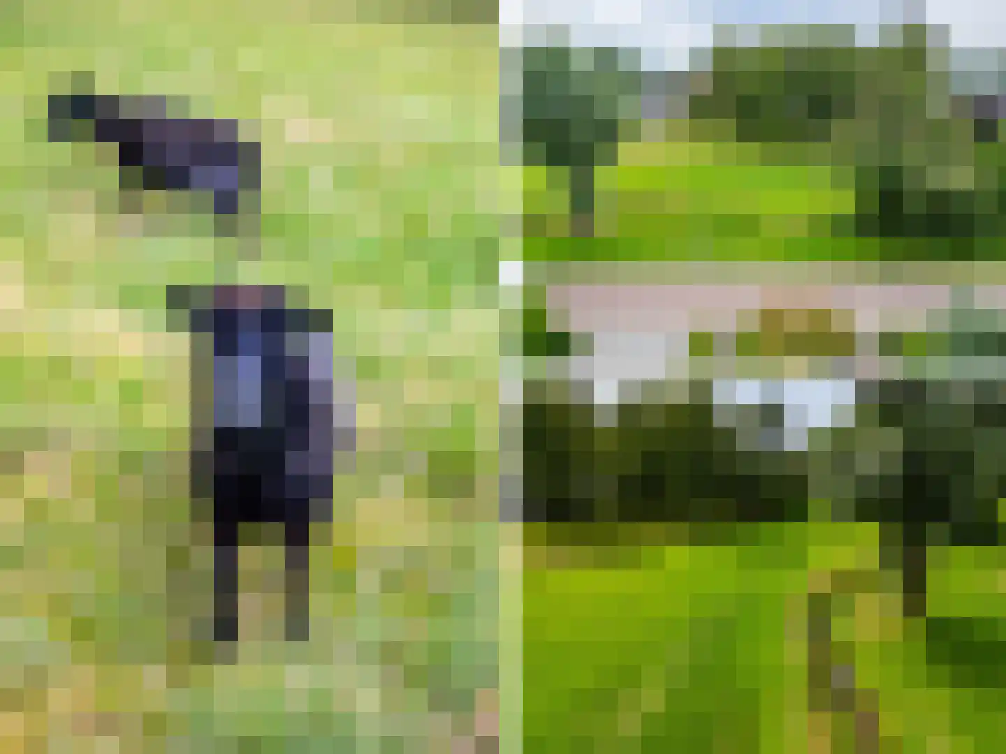 't Haagje 8 Eerbeek thumbnail 73