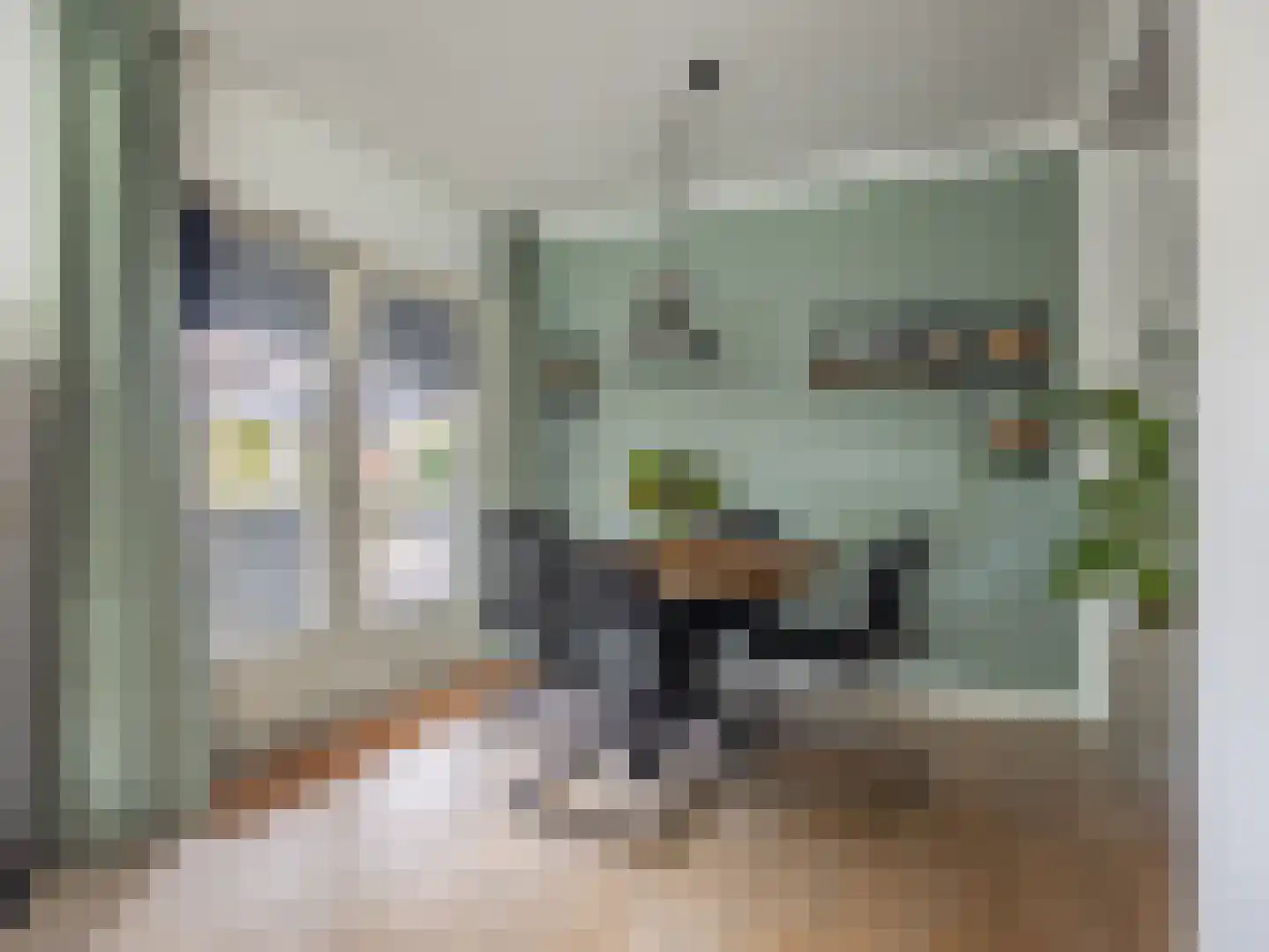 't Haagje 8 Eerbeek thumbnail 9