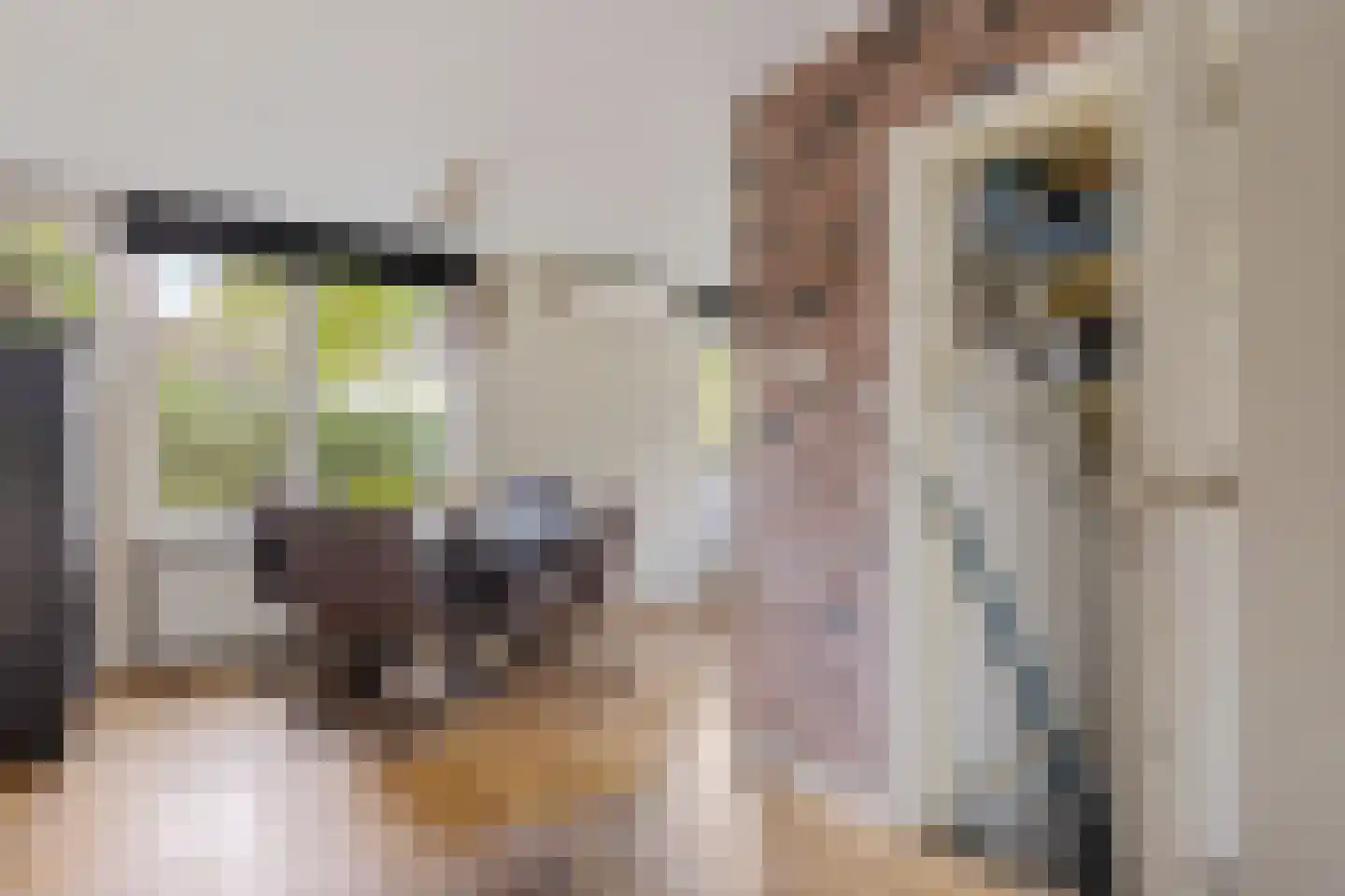 't Haantje 26 't Haantje thumbnail 10
