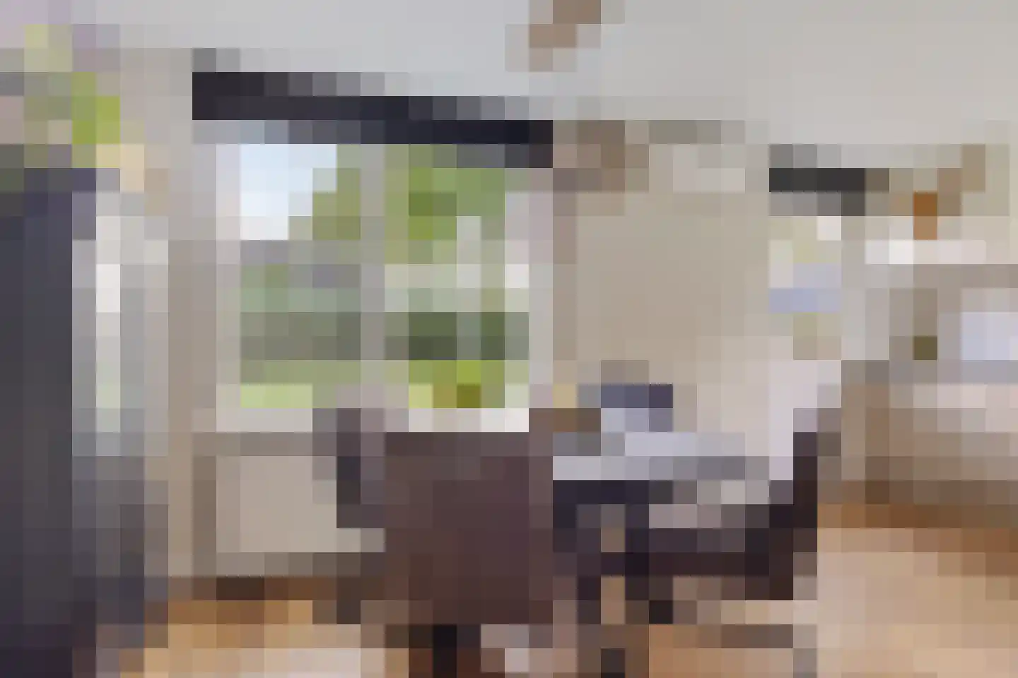 't Haantje 26 't Haantje thumbnail 11