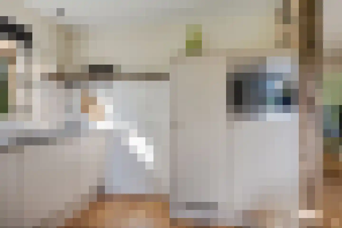't Haantje 26 't Haantje thumbnail 12