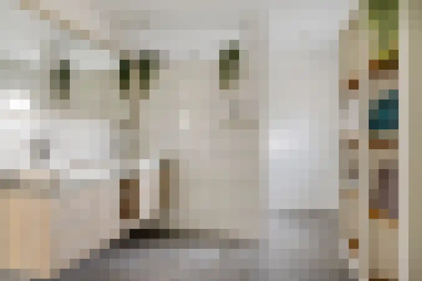 't Haantje 26 't Haantje thumbnail 16