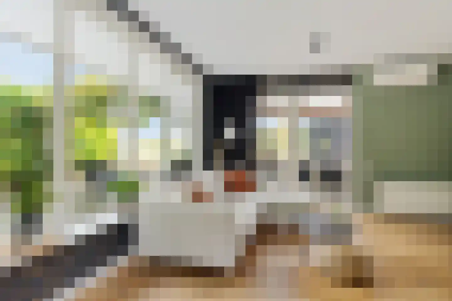't Haantje 26 't Haantje thumbnail 20