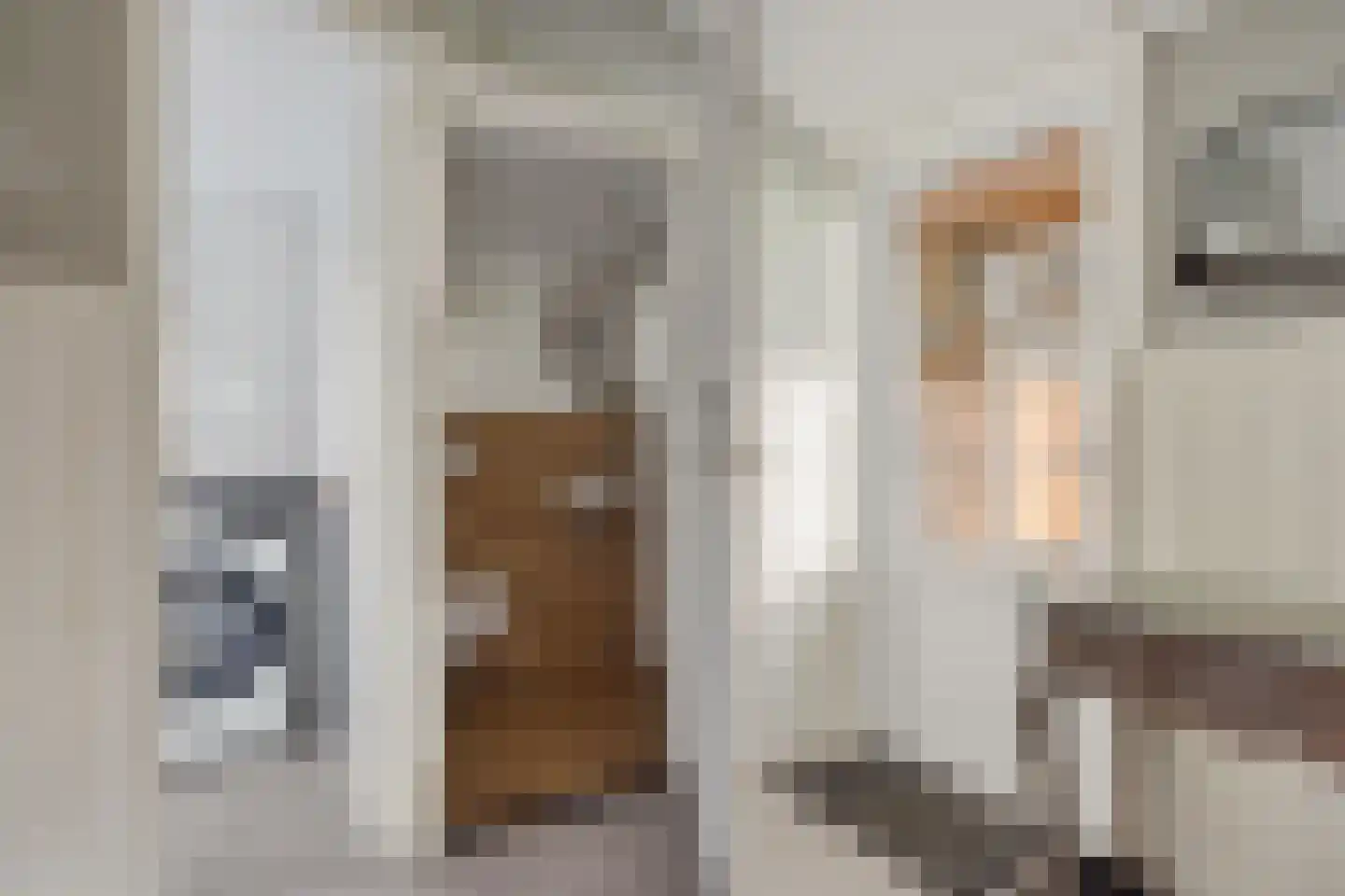 't Haantje 26 't Haantje thumbnail 23
