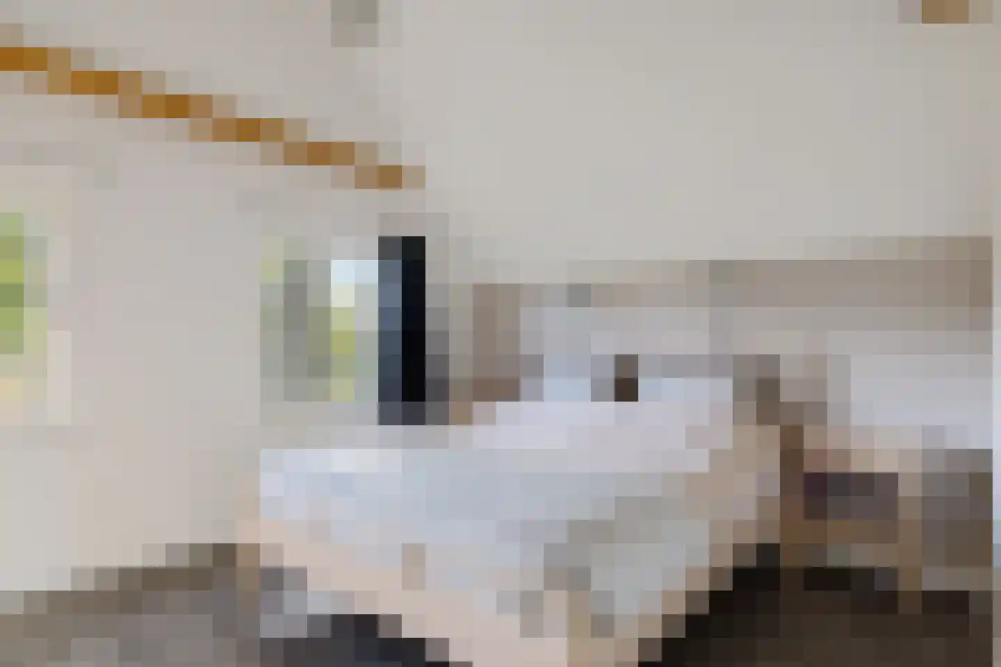't Haantje 26 't Haantje thumbnail 30