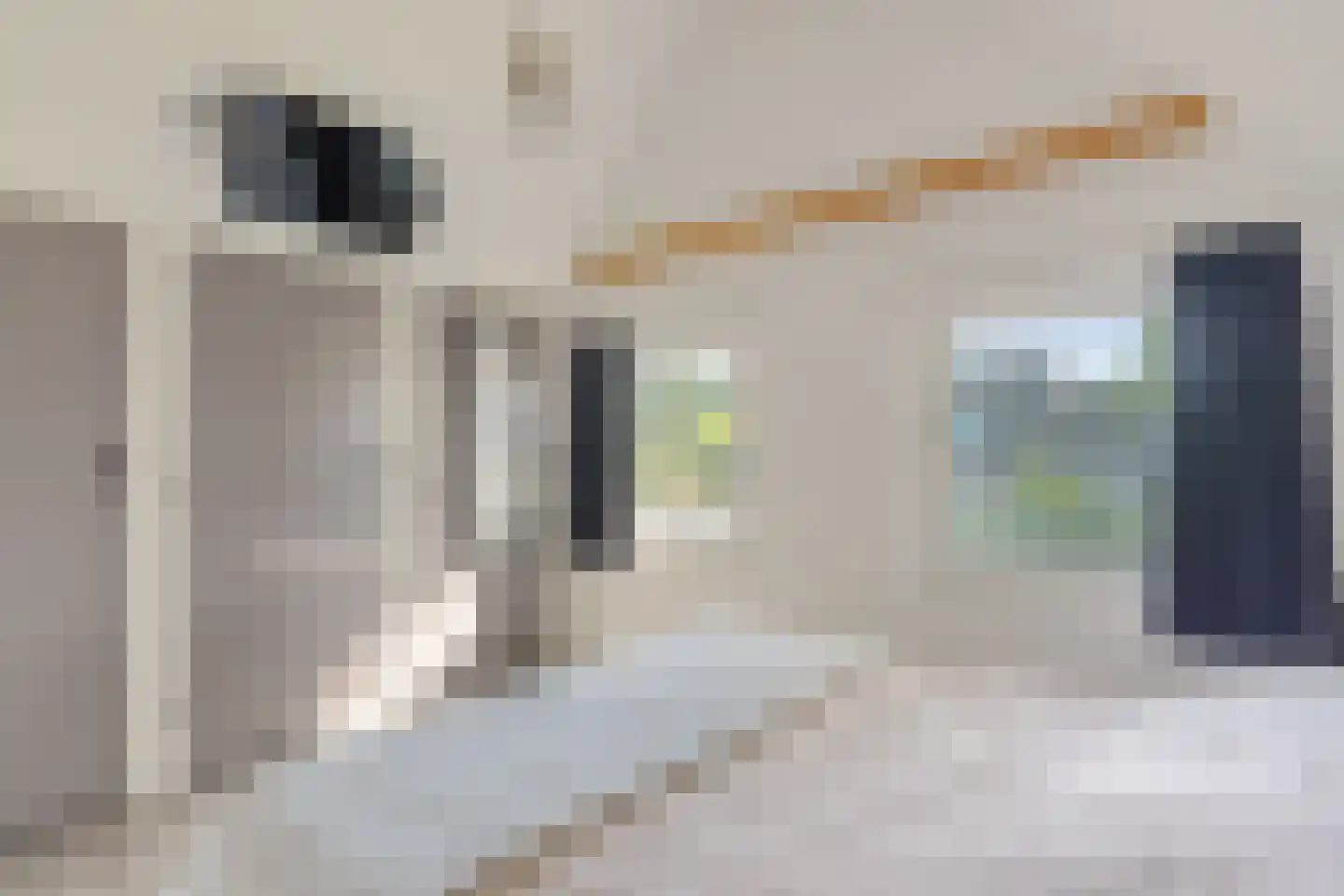 't Haantje 26 't Haantje thumbnail 31