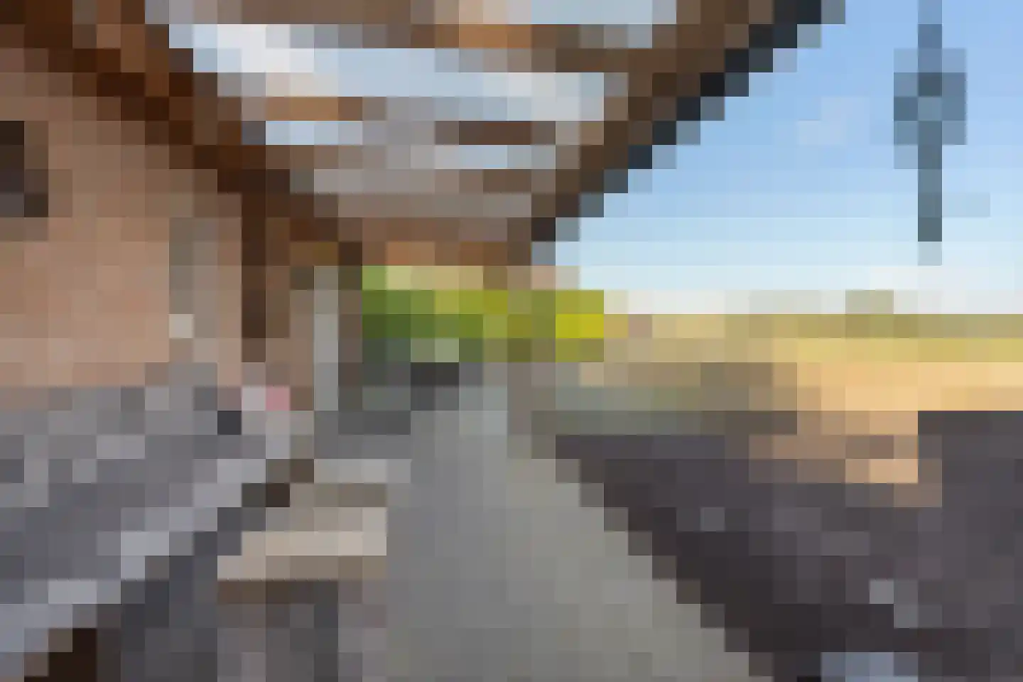 't Haantje 26 't Haantje thumbnail 34