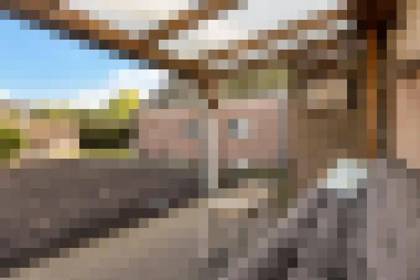 't Haantje 26 't Haantje thumbnail 35