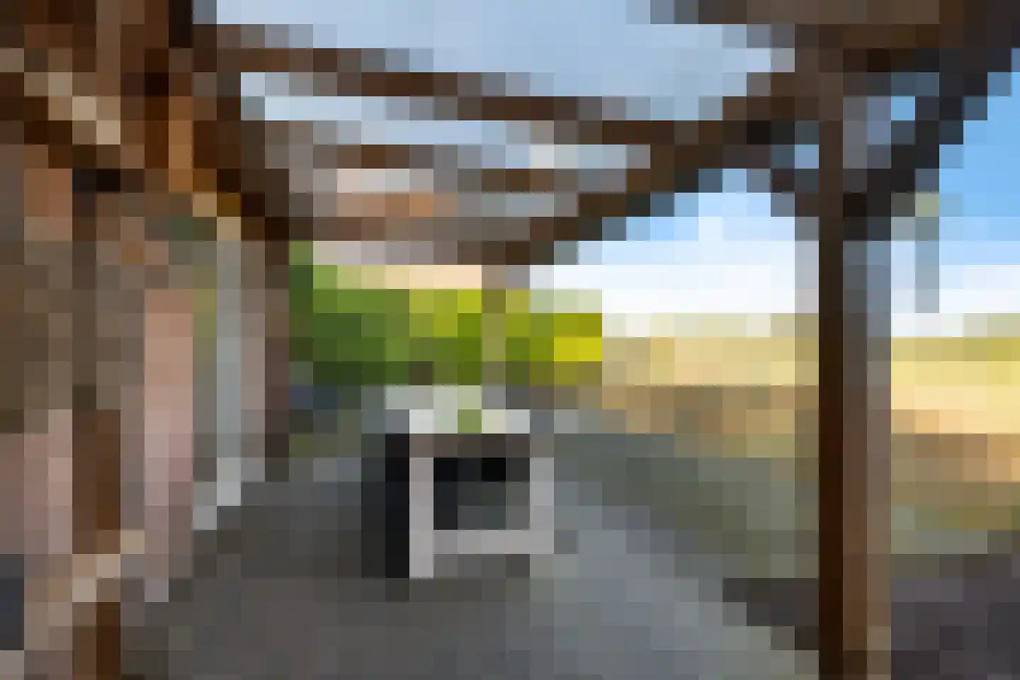 't Haantje 26 't Haantje thumbnail 36