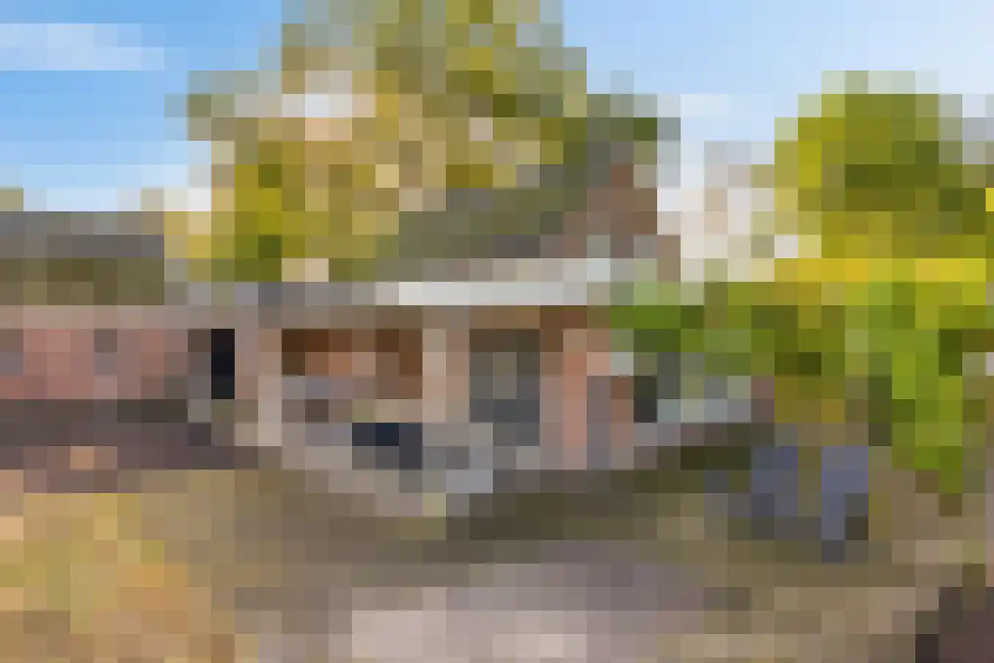 't Haantje 26 't Haantje thumbnail 37