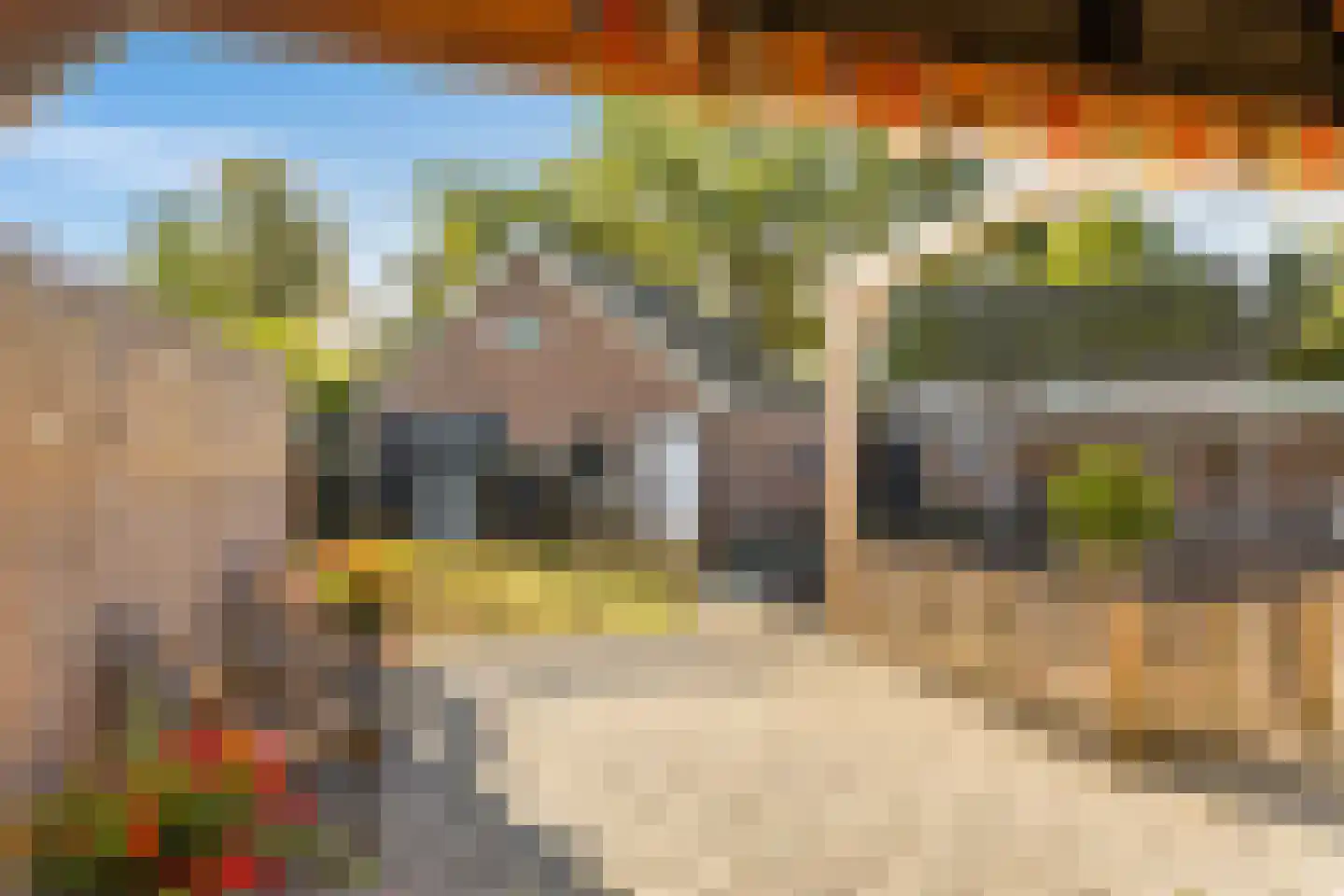 't Haantje 26 't Haantje thumbnail 38