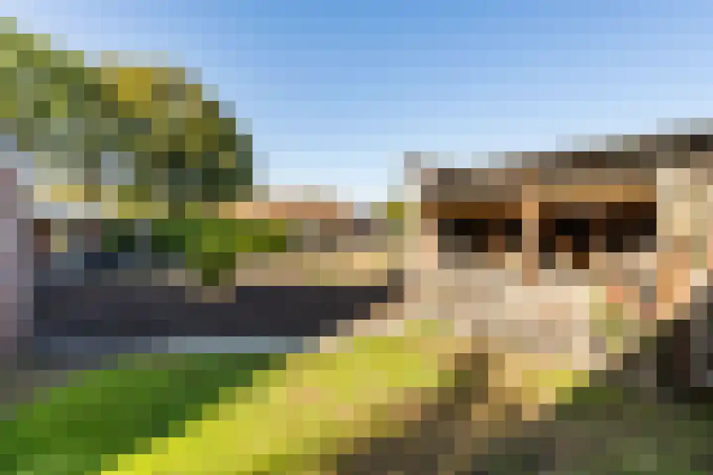 't Haantje 26 't Haantje thumbnail 42