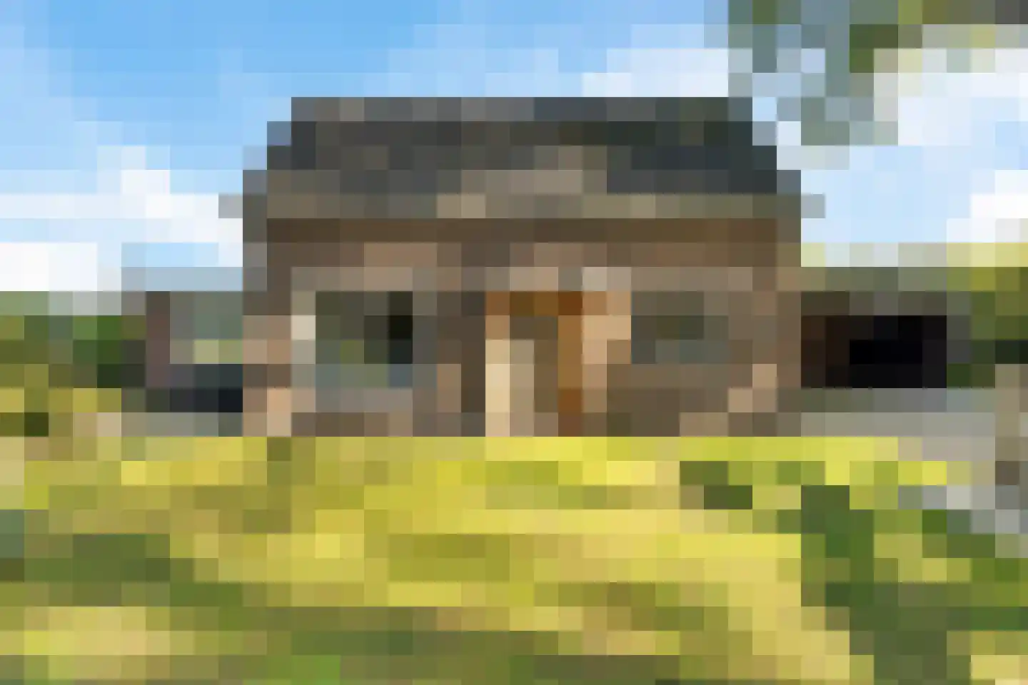 't Haantje 26 't Haantje thumbnail 45