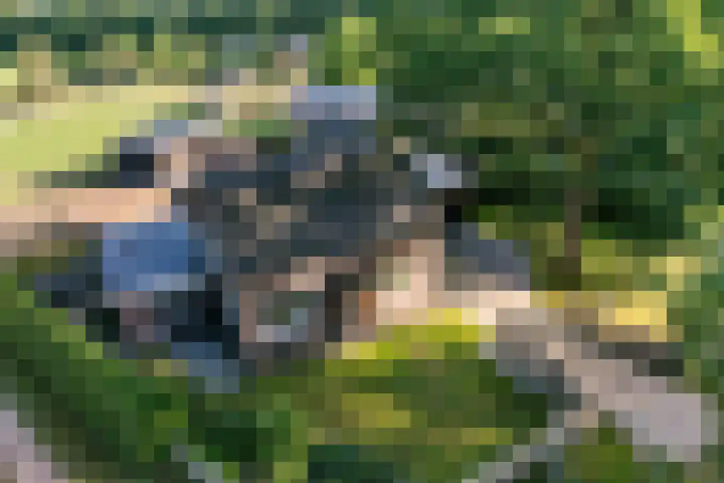't Haantje 26 't Haantje thumbnail 46