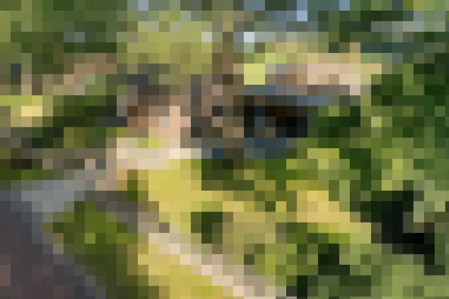 't Haantje 26 't Haantje thumbnail 47