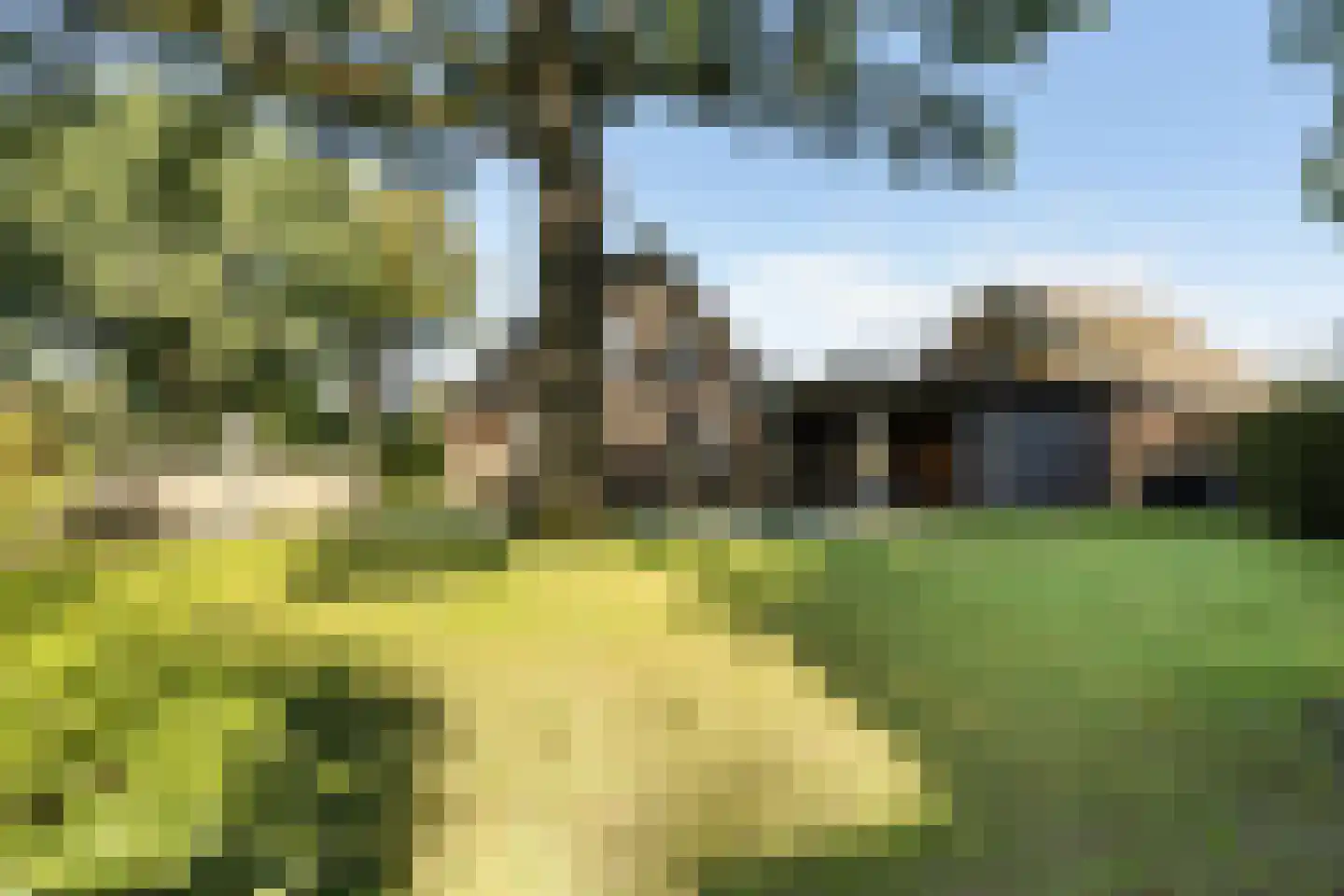 't Haantje 26 't Haantje thumbnail 48