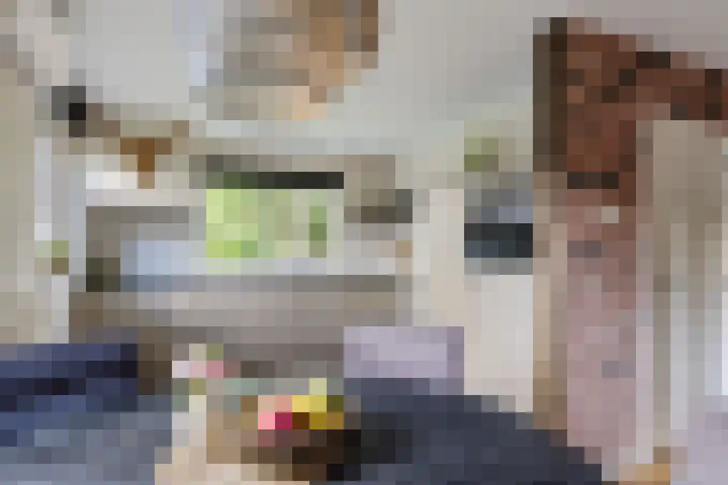 't Haantje 26 't Haantje thumbnail 9