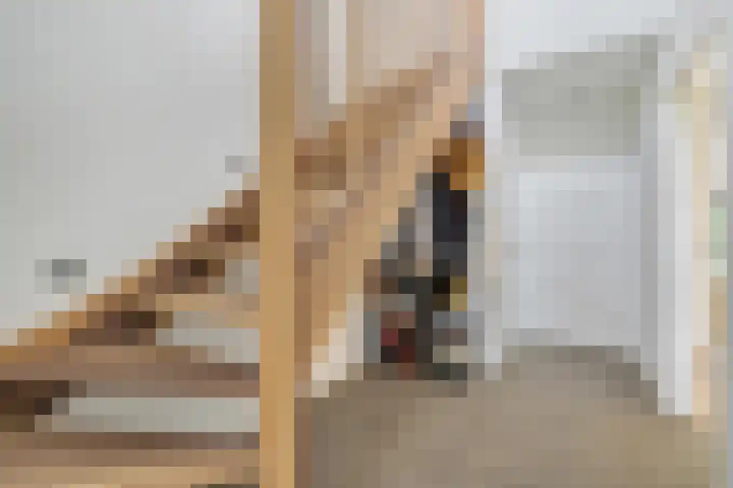 't Haantje 4 Bavel thumbnail 12