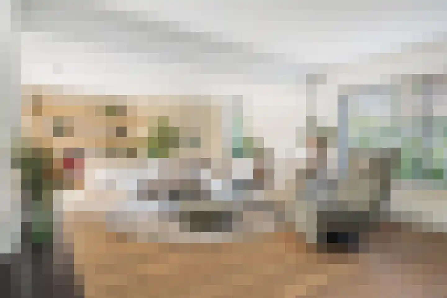 't Haantje 4 Bavel thumbnail 14