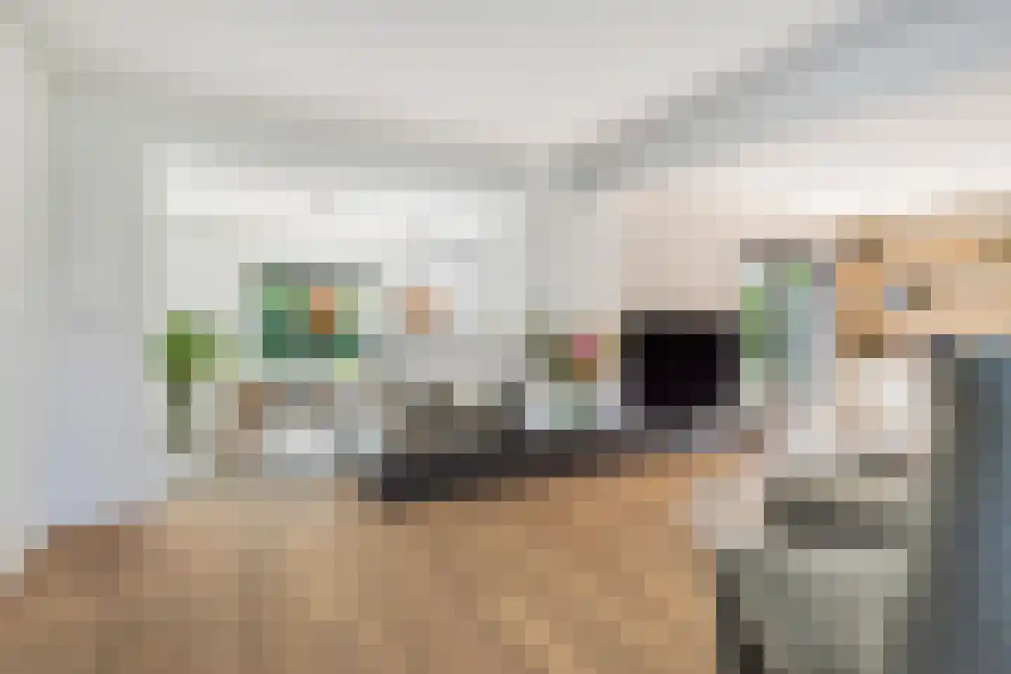 't Haantje 4 Bavel thumbnail 16