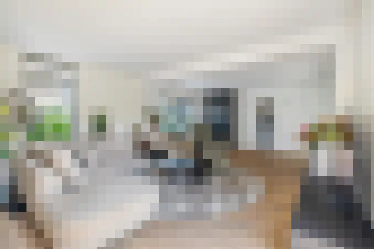 't Haantje 4 Bavel thumbnail 17