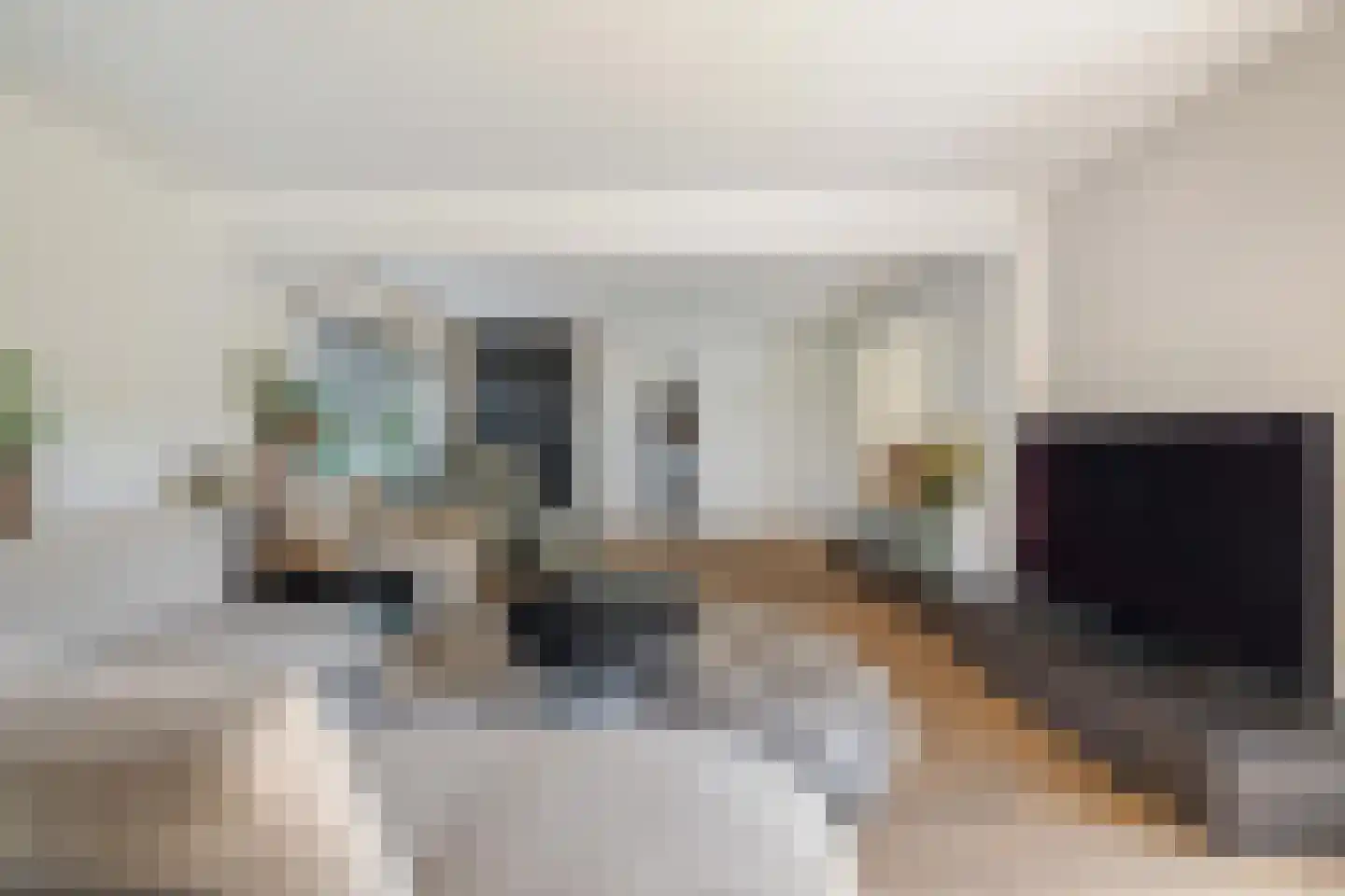 't Haantje 4 Bavel thumbnail 19